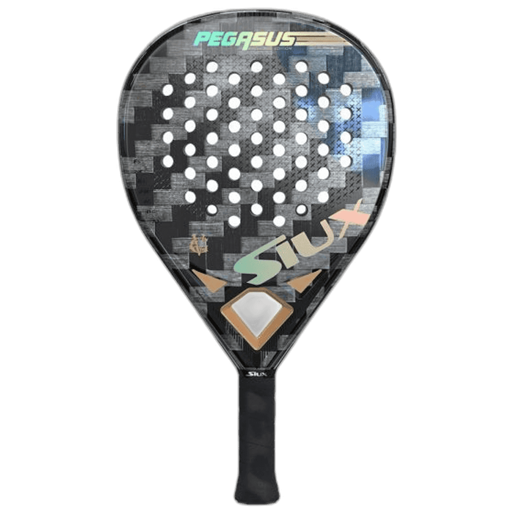 Siux Pegasus GV Edition
